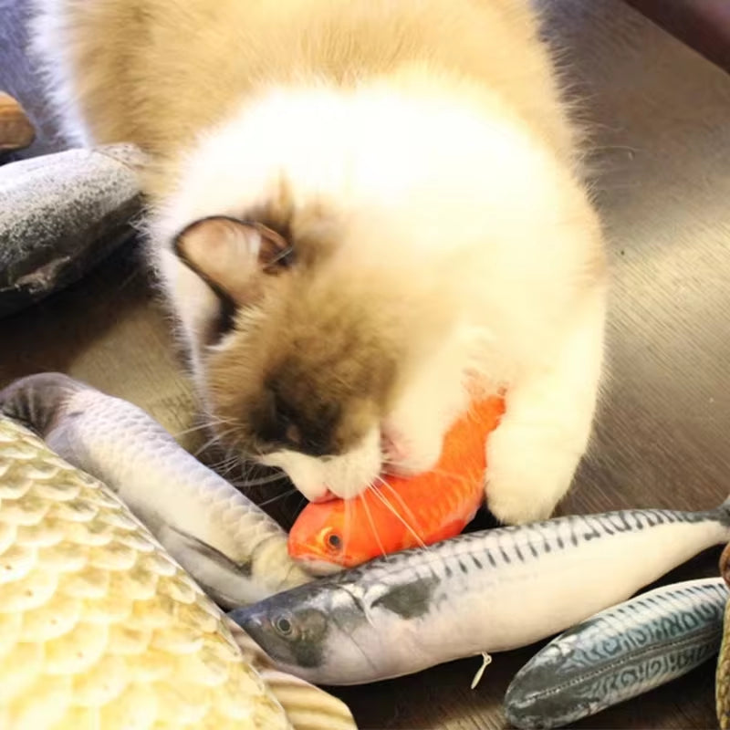 Catnip Fish Plush Toy