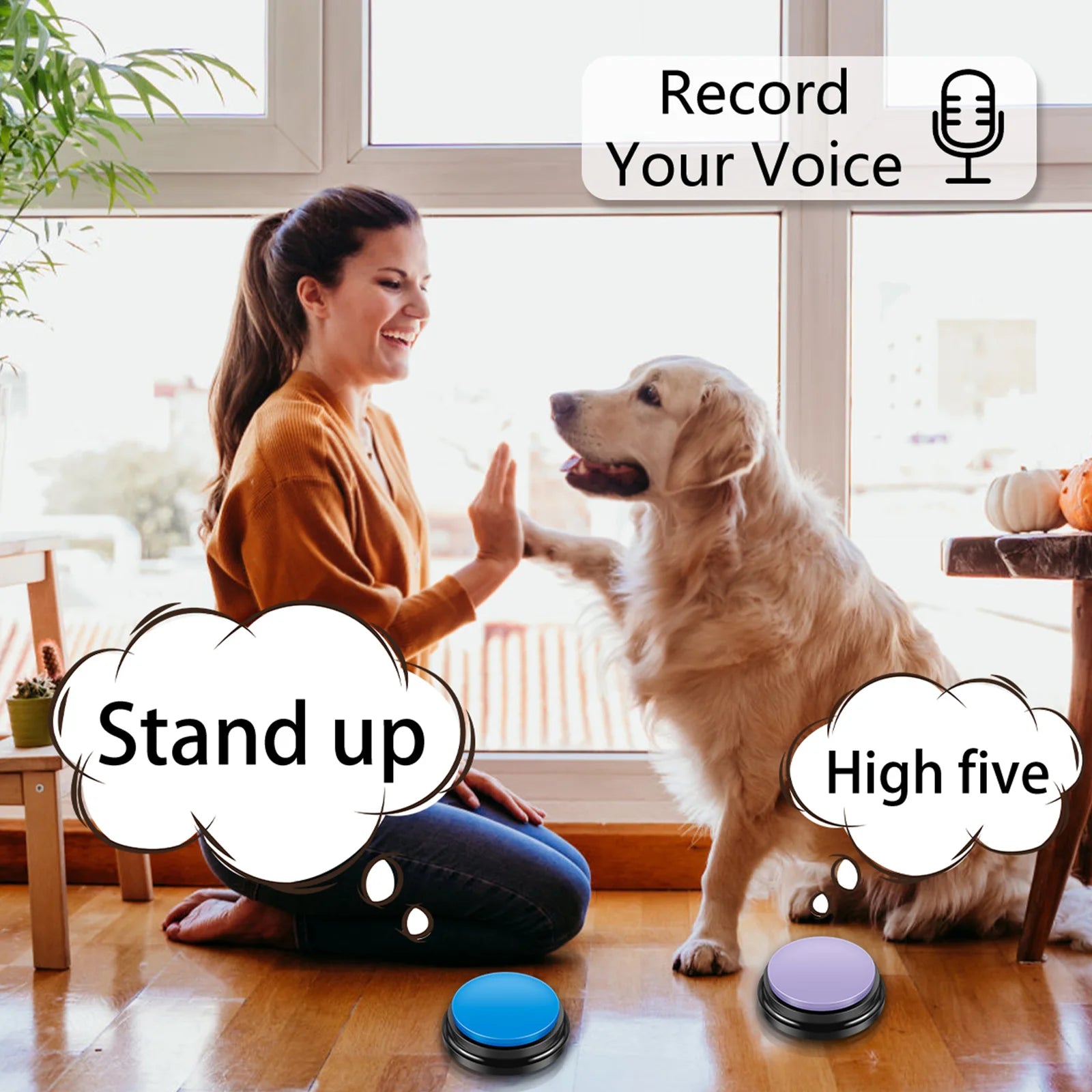 Talking Dog Training Buttons