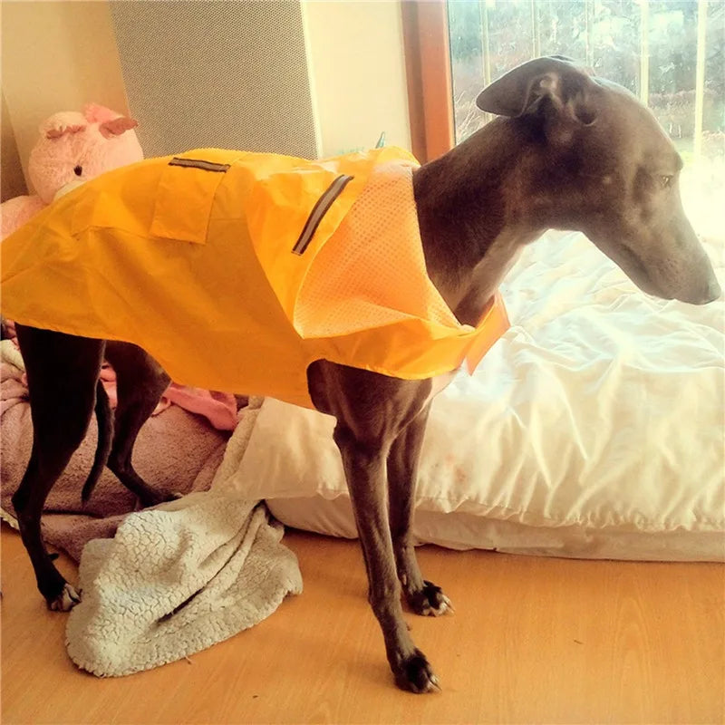 Dog Raincoat Waterproof Hoodie Jacket 