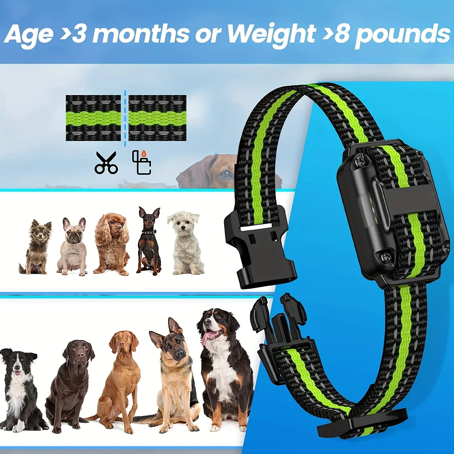 Dog Shock Collar with Remote