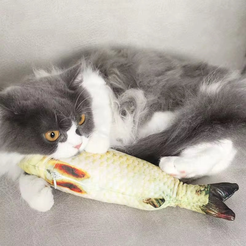 Catnip Fish Plush Toy