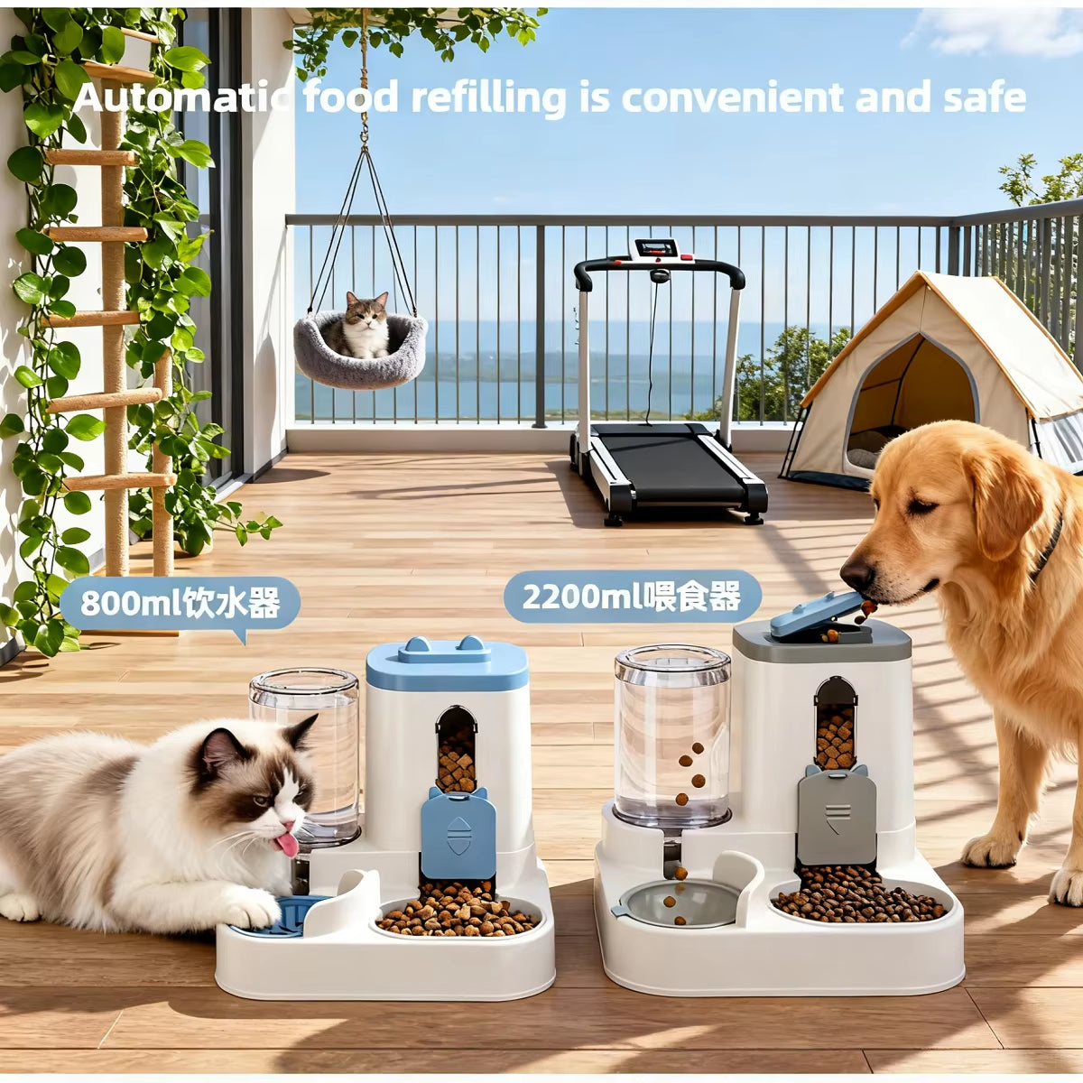 Automatic Pet Feeder Set