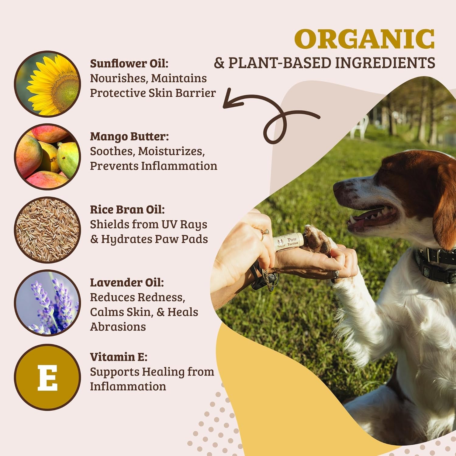 Dog Paw Protection Stick Balm