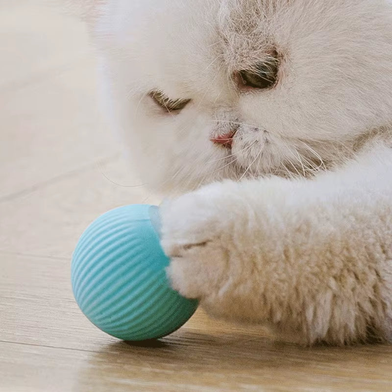Smart Interactive Cat Ball